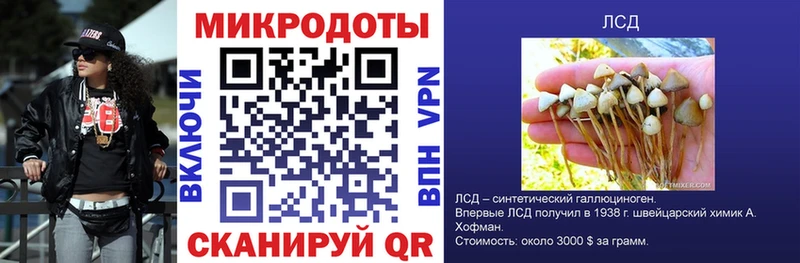 Псилоцибиновые грибы GOLDEN TEACHER Лыткарино