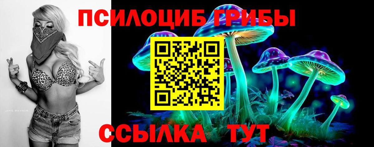 Лыткарино  Галлюциногенные грибы Cubensis  Вход с VPN 