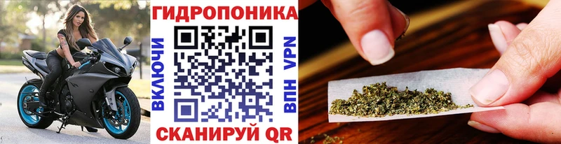 Бошки марихуана White Widow  blacksprut ТОР  Лыткарино  цены  